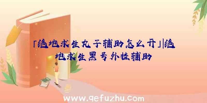 「绝地求生丸子辅助怎么开」|绝地求生黑号外挂辅助